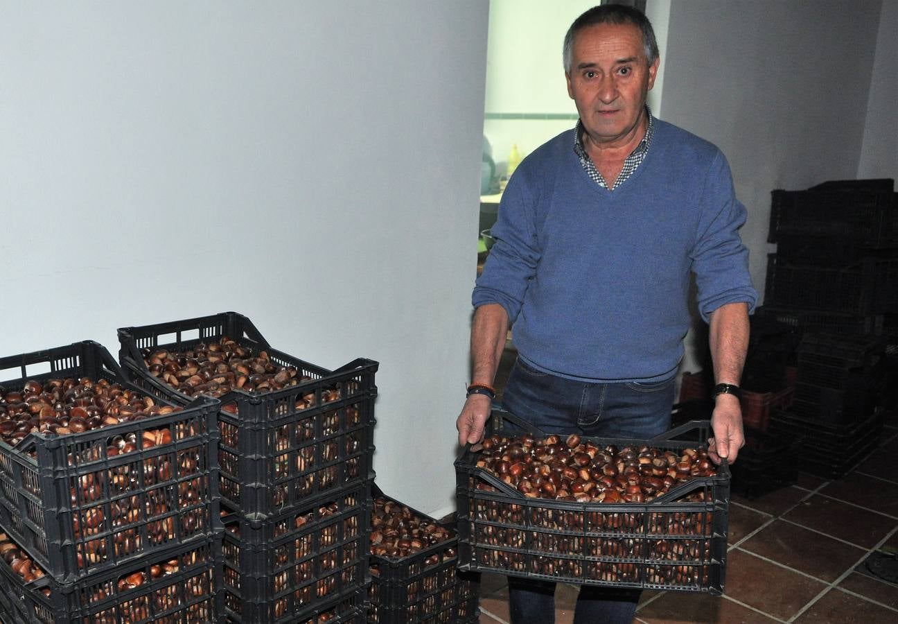 La preciada madera y el fruto del castaño forman parte de la cultura ancestral y gastronomía en esta zona de la Alpujarra desde el tiempo de los romanos