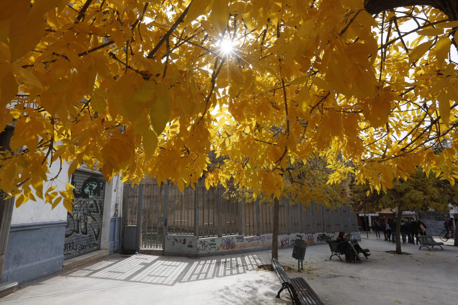 La capital luce por sus calles la estampa clásica del otoño que amarillea sus árboles