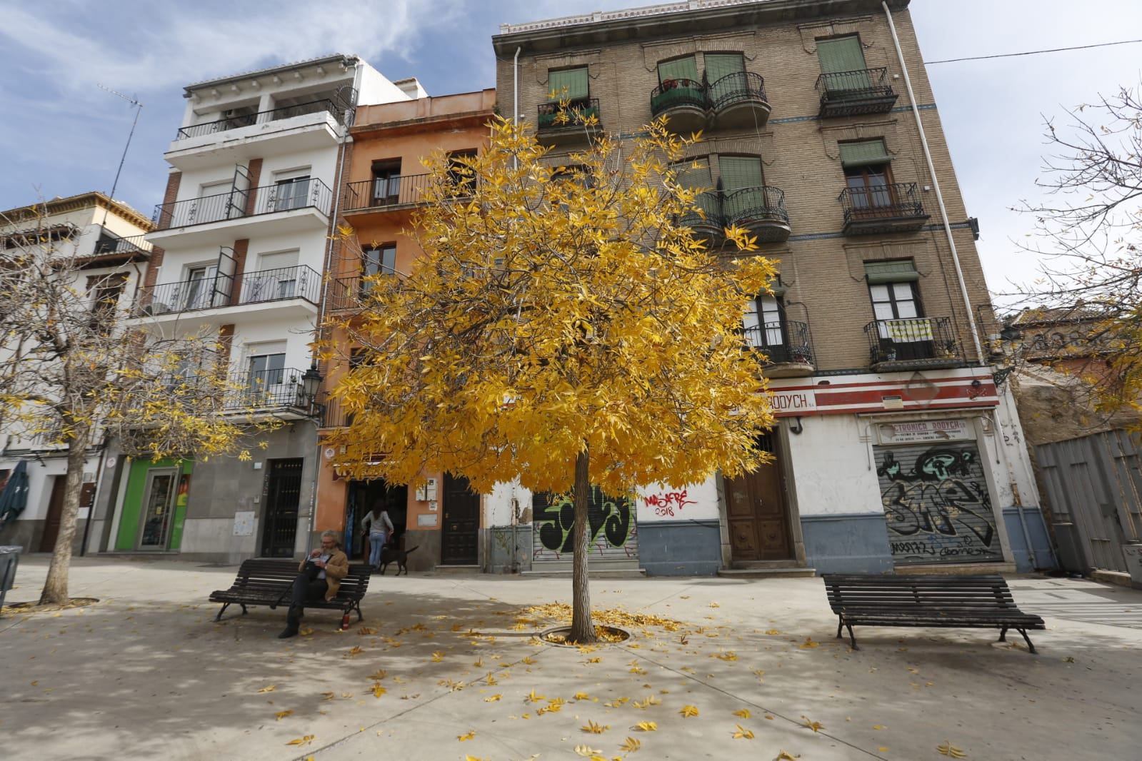La capital luce por sus calles la estampa clásica del otoño que amarillea sus árboles