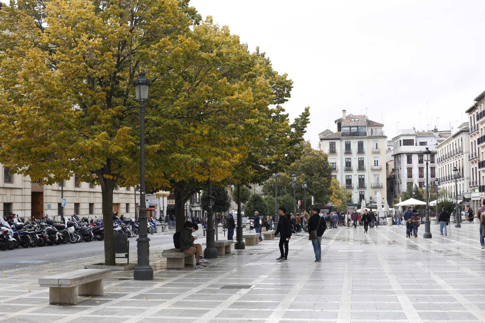 La capital luce por sus calles la estampa clásica del otoño que amarillea sus árboles