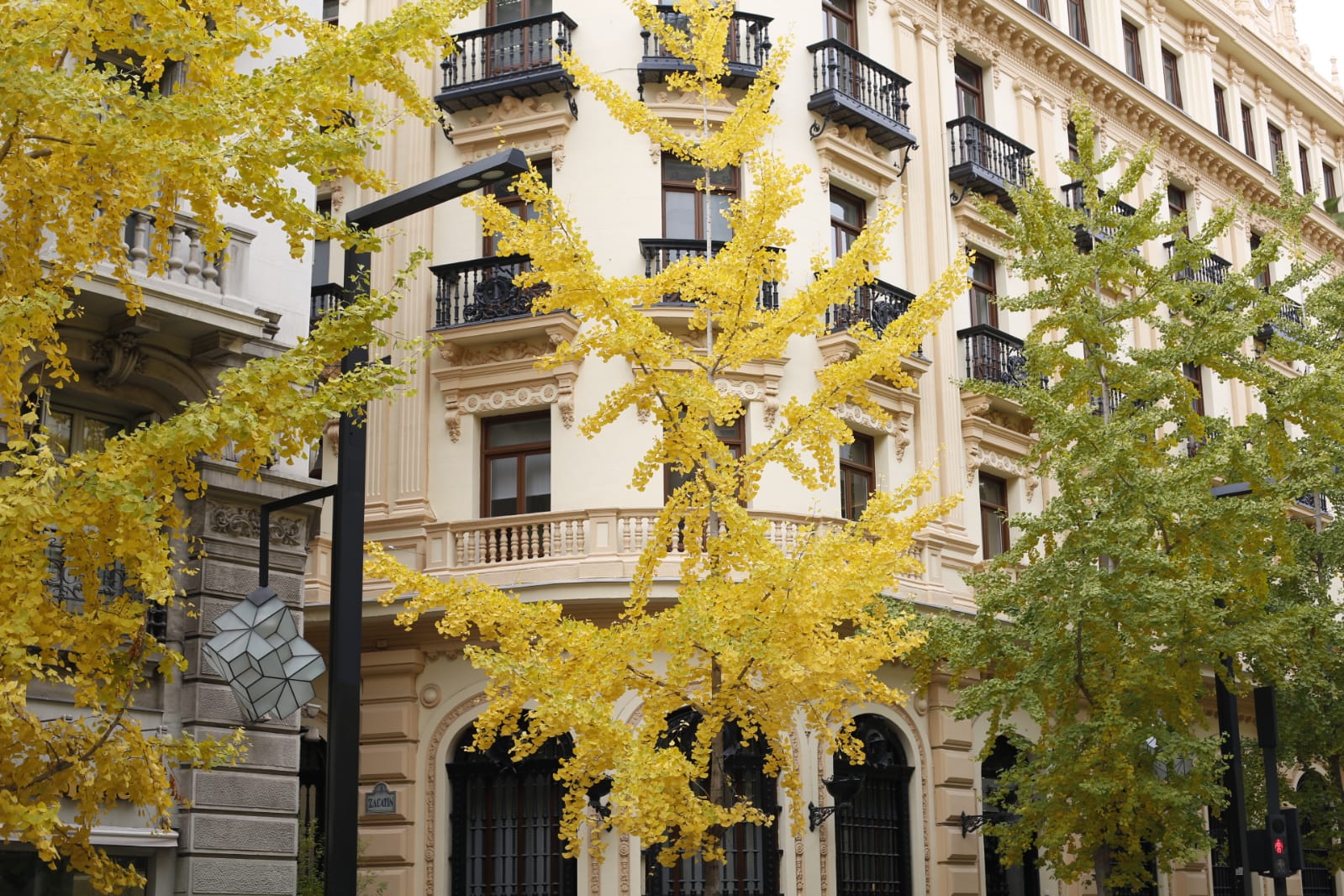 La capital luce por sus calles la estampa clásica del otoño que amarillea sus árboles