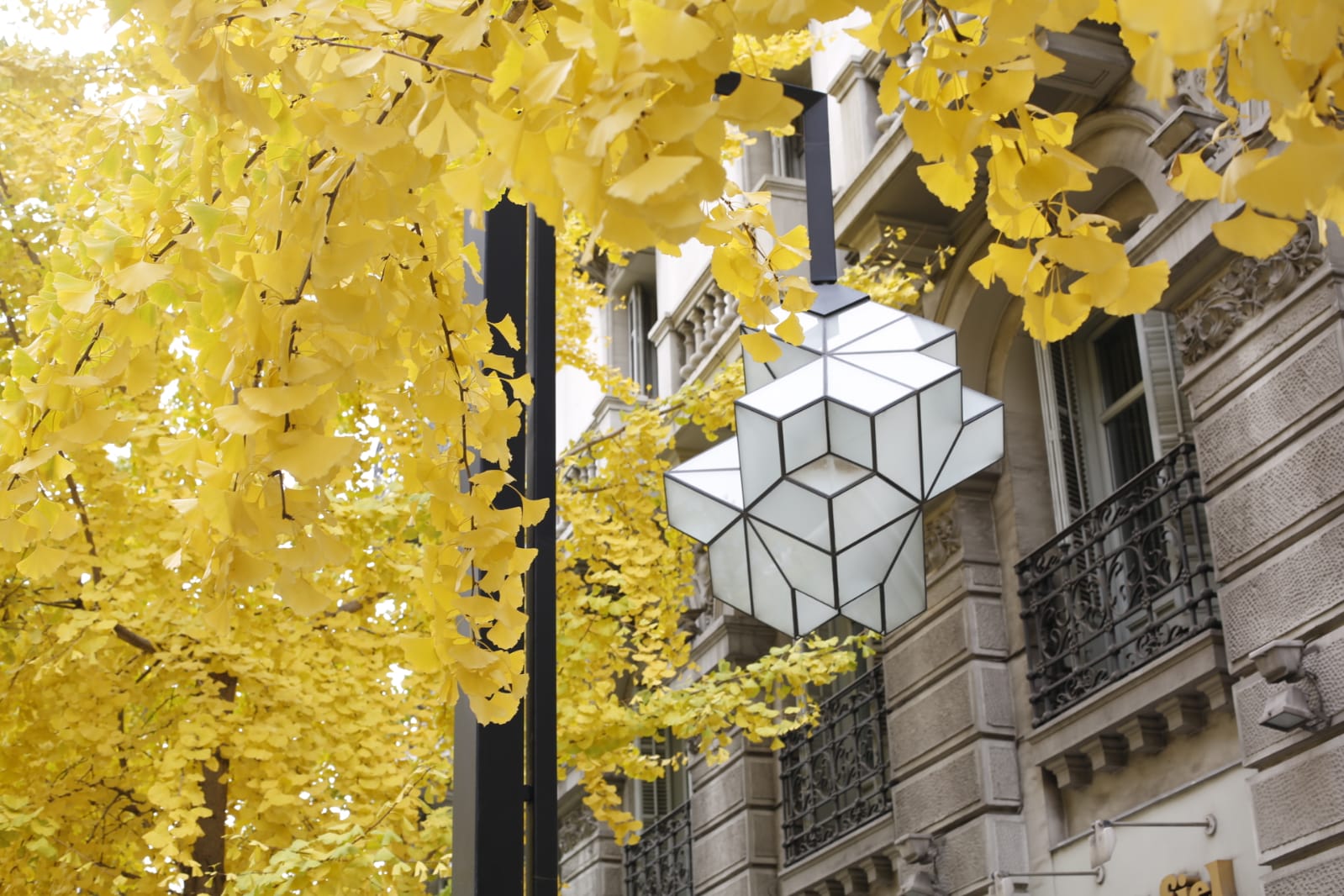 La capital luce por sus calles la estampa clásica del otoño que amarillea sus árboles