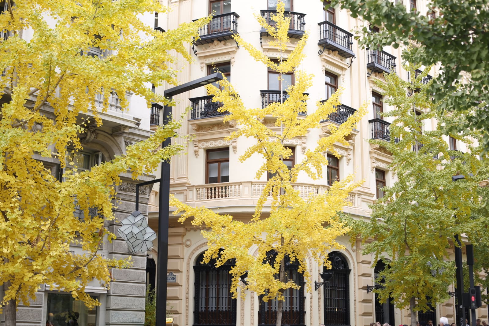 La capital luce por sus calles la estampa clásica del otoño que amarillea sus árboles