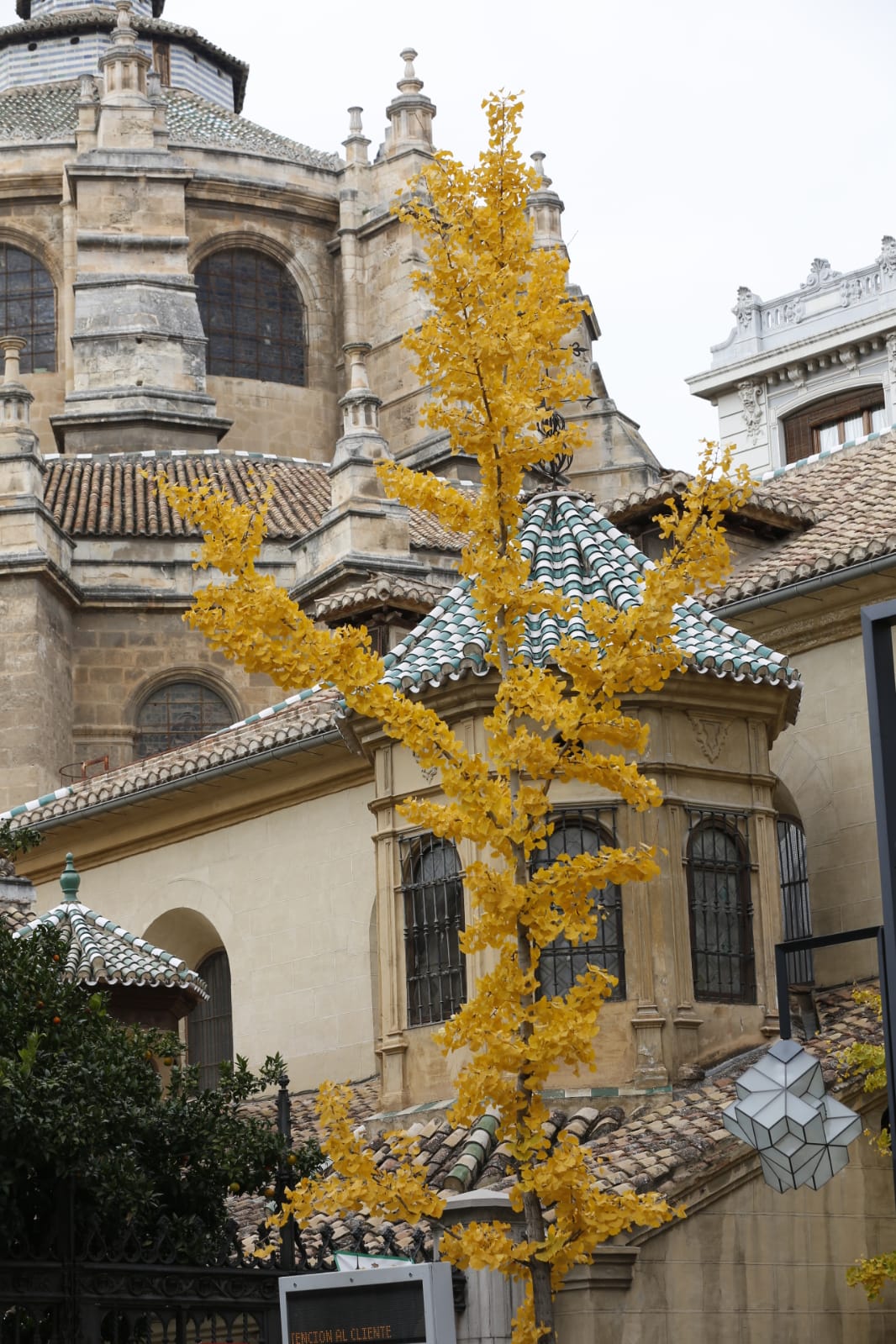 La capital luce por sus calles la estampa clásica del otoño que amarillea sus árboles