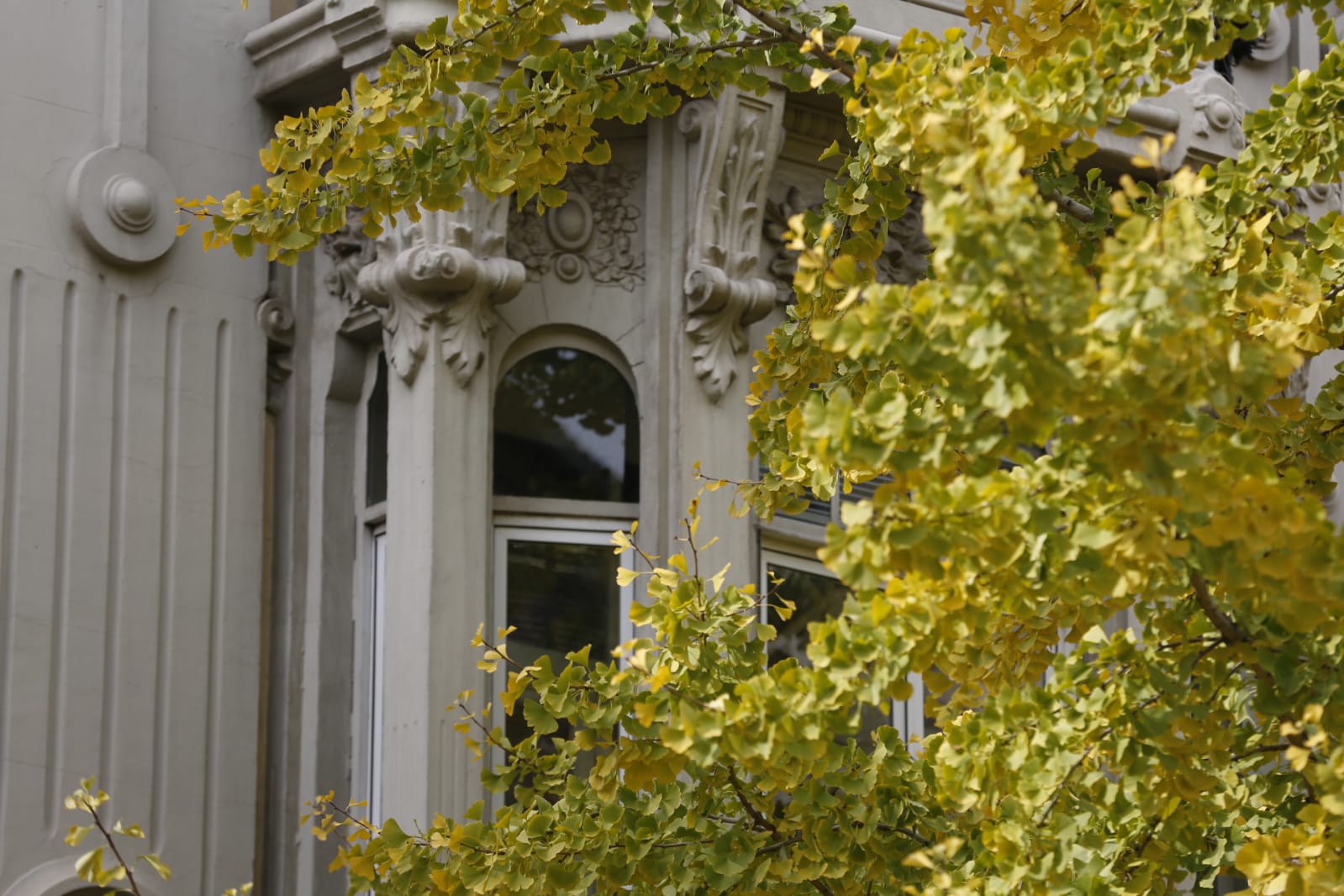 La capital luce por sus calles la estampa clásica del otoño que amarillea sus árboles