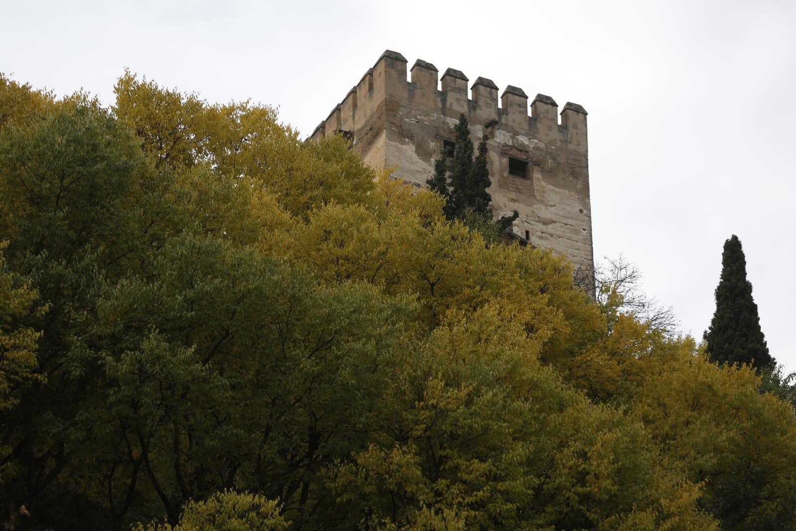 La capital luce por sus calles la estampa clásica del otoño que amarillea sus árboles