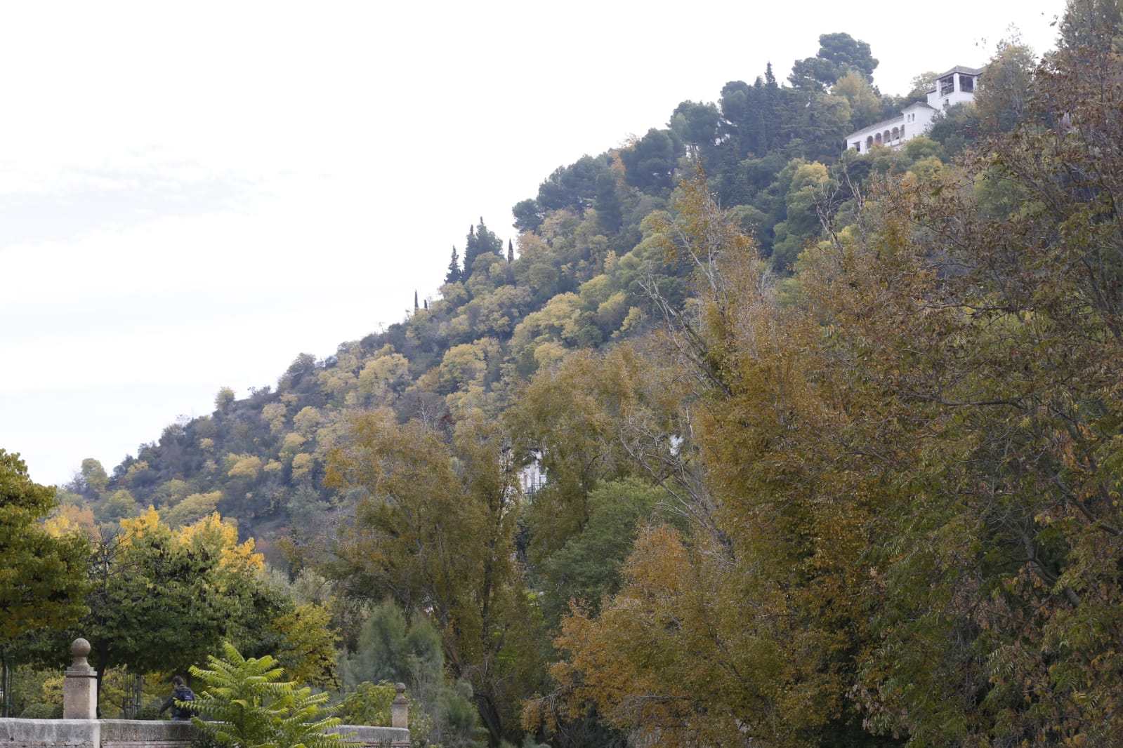 La capital luce por sus calles la estampa clásica del otoño que amarillea sus árboles