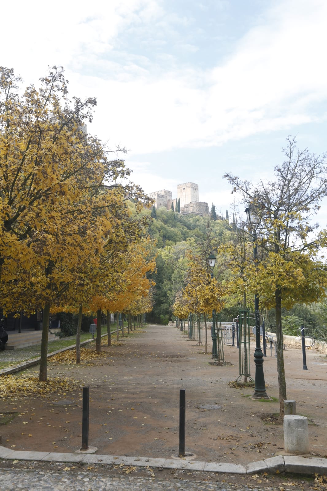 La capital luce por sus calles la estampa clásica del otoño que amarillea sus árboles