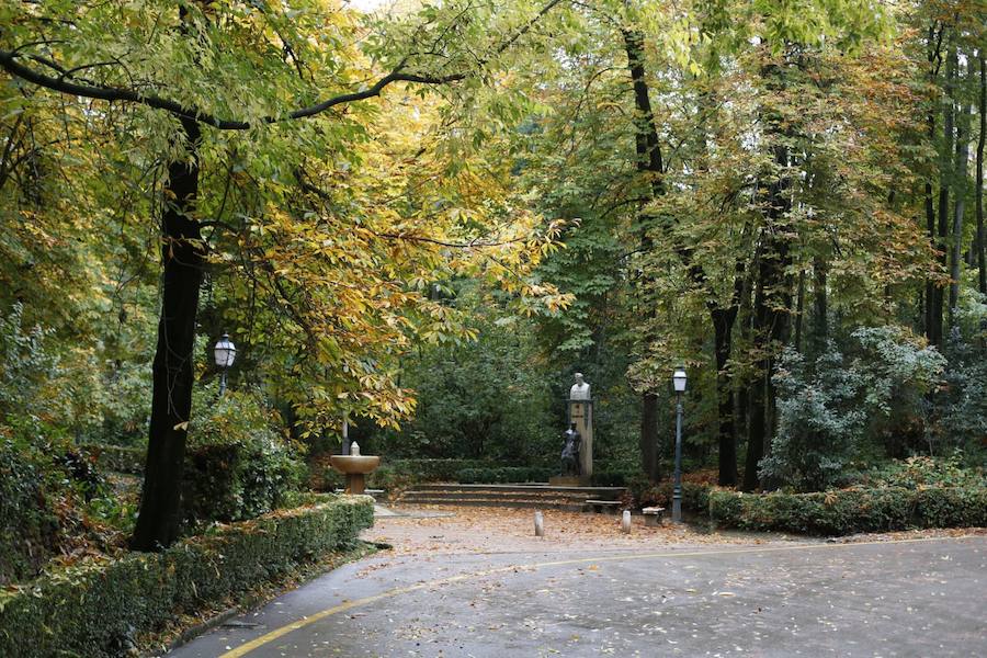 En estos días, los visitantes del bosque de la Alhambra pueden disfrutar de una estampa típica del otoño. Un gran manto de hojas caídas de los árboles se extiende sobre bancos, caminos, escaleras y entre los mismos árboles. El frío que cada vez es más patente y la lluvia han hecho que los árboles se muestren cada día más desnudos, para dejar en el suelo las hojas que nacieron con la primavera. Estampas que hacen más bello el bosque de la Alhambra. 