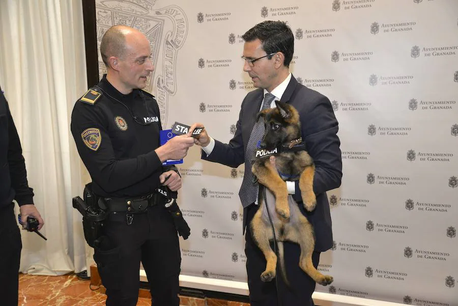 El alcalde de Granada, Francisco Cuenca, le ha hecho entrega a la Policía Local de la cartilla del animal, con la que se completa la regulación para que forme parte del cuerpo