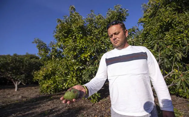 David Domínguez es uno de los agricultores afectados por el temporal