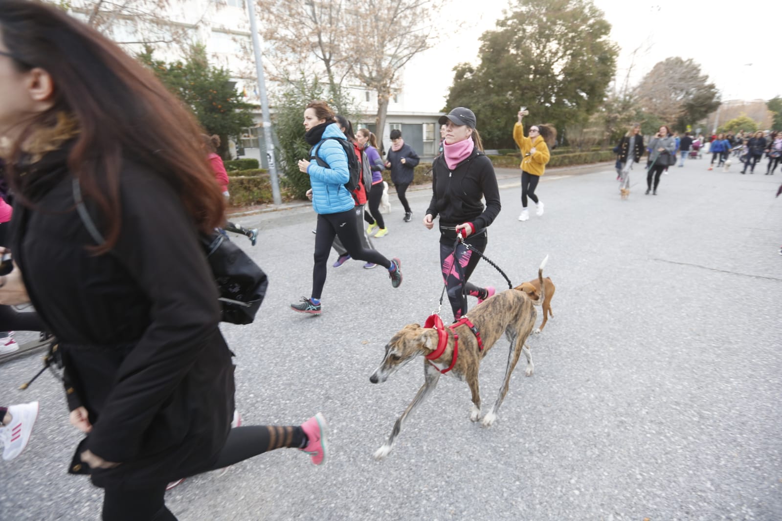 Un grupo de ochenta corredoras marcha por las principales calles de la ciudad para expresar que quieren practicar deporte con la garantía de que podrán volver a sus casas