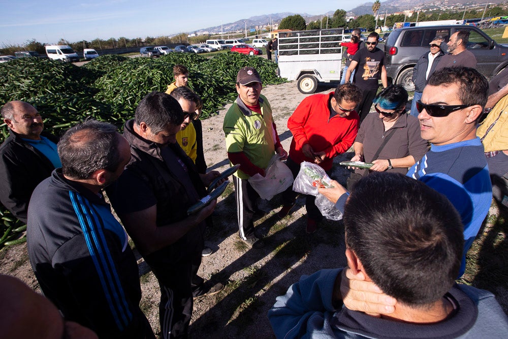 Confían en que la destrucción del producto tenga sus efectos y los precios suban porque ahora «les está costando el dinero» 