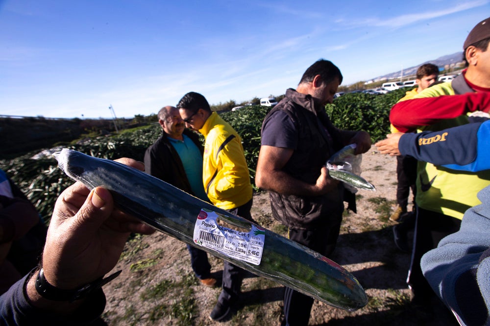 Confían en que la destrucción del producto tenga sus efectos y los precios suban porque ahora «les está costando el dinero» 