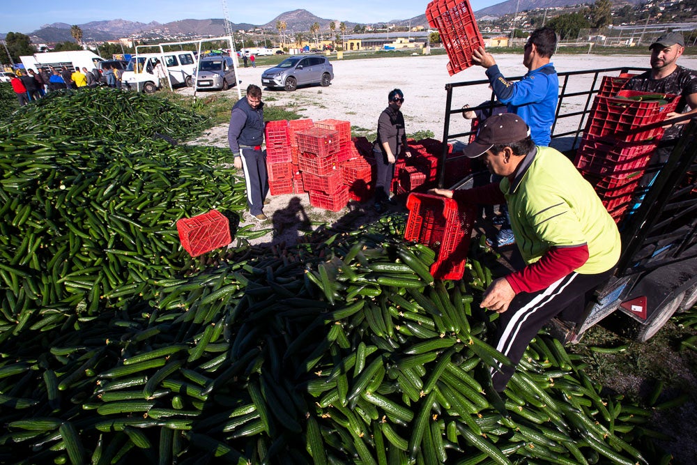 Confían en que la destrucción del producto tenga sus efectos y los precios suban porque ahora «les está costando el dinero» 