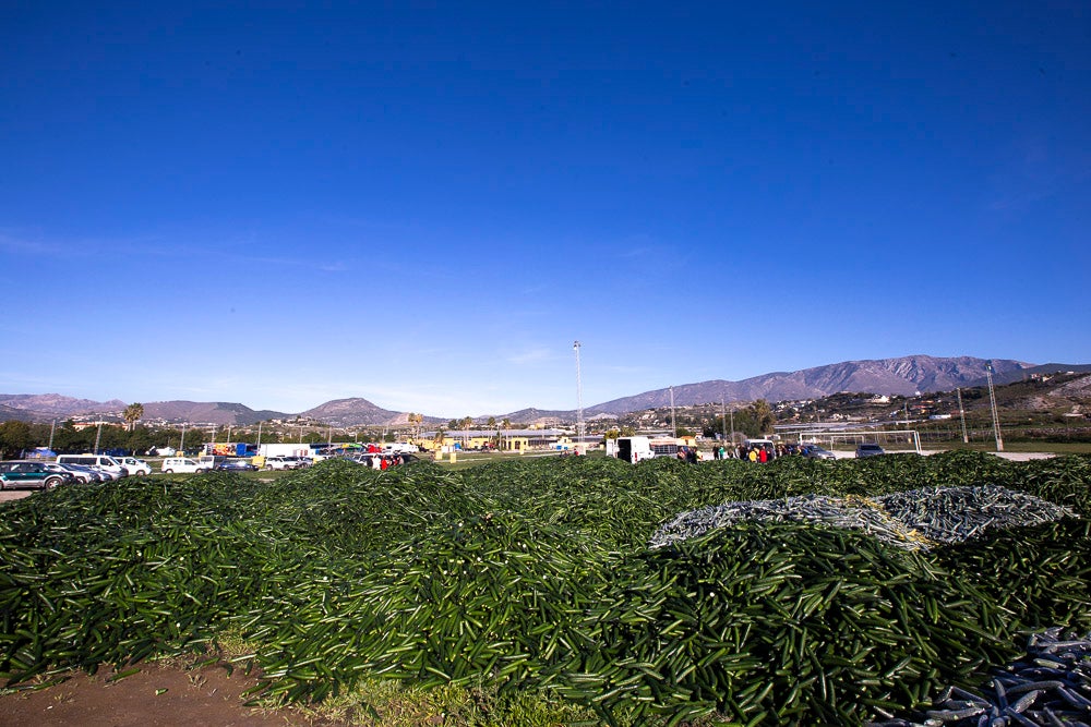 Confían en que la destrucción del producto tenga sus efectos y los precios suban porque ahora «les está costando el dinero» 