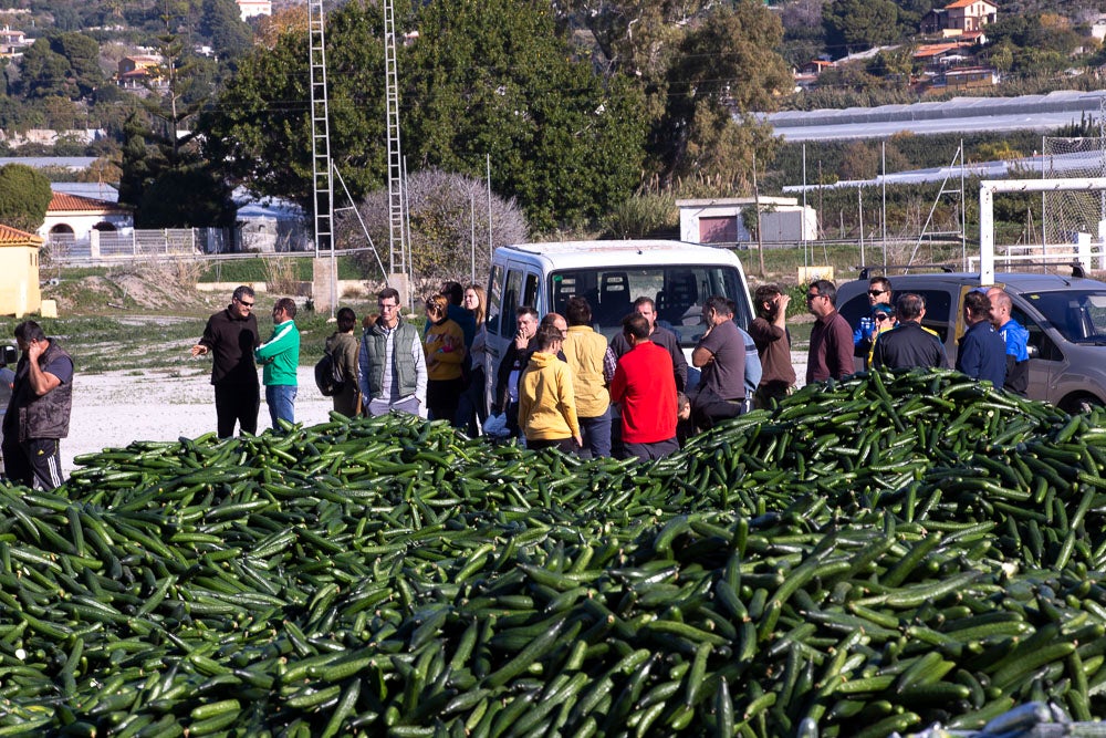 Confían en que la destrucción del producto tenga sus efectos y los precios suban porque ahora «les está costando el dinero» 