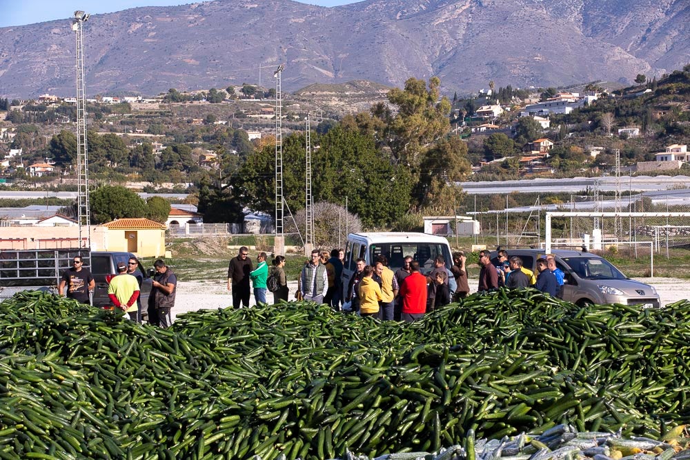 Confían en que la destrucción del producto tenga sus efectos y los precios suban porque ahora «les está costando el dinero» 