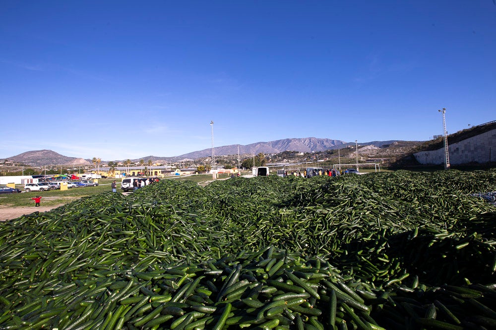 Confían en que la destrucción del producto tenga sus efectos y los precios suban porque ahora «les está costando el dinero» 