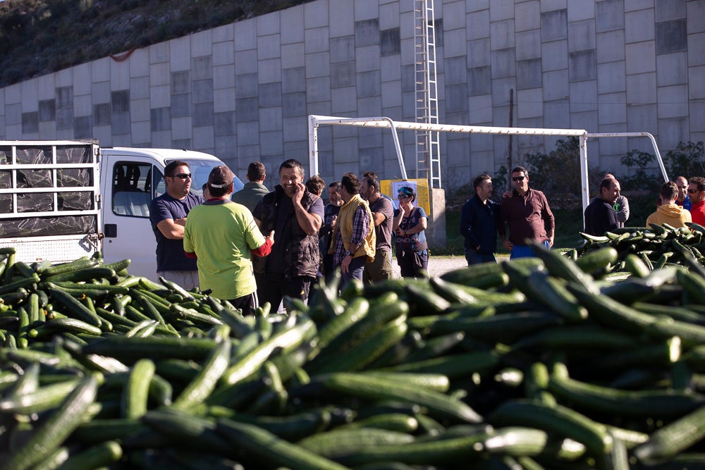 Confían en que la destrucción del producto tenga sus efectos y los precios suban porque ahora «les está costando el dinero» 