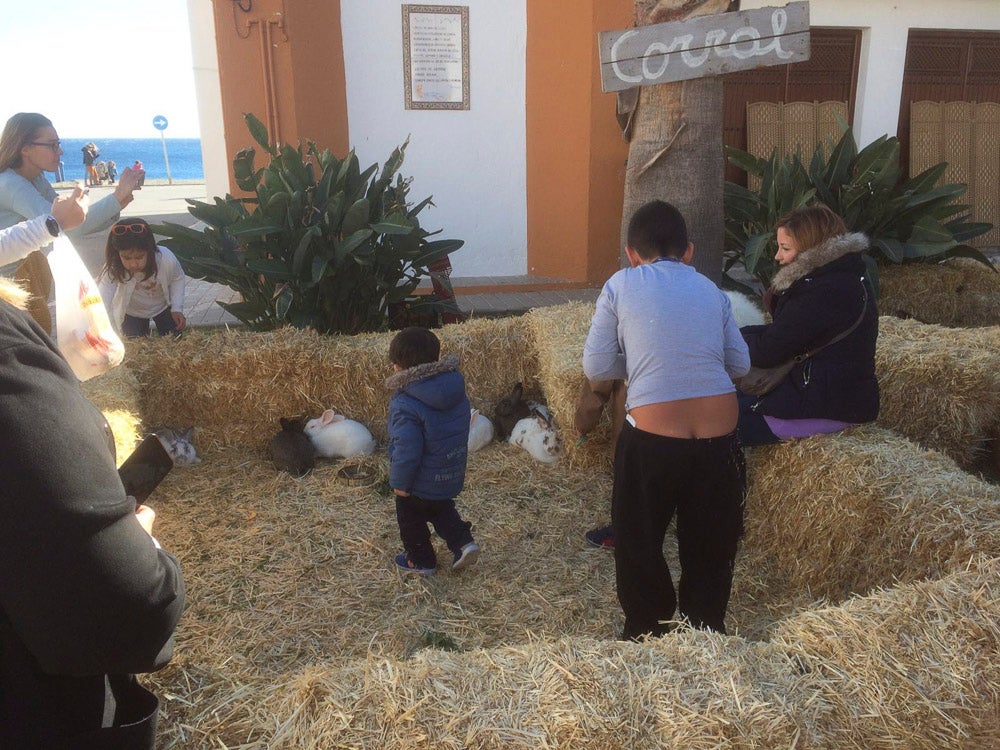 El Huerto, la Vera Cruz, los colegios Virgen del Mar, Arco Iris, Cardenal Belluga consiguen premio en el concurso