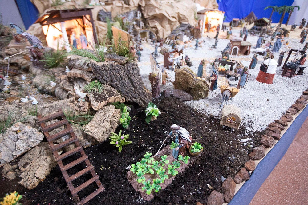 El Huerto, la Vera Cruz, los colegios Virgen del Mar, Arco Iris, Cardenal Belluga consiguen premio en el concurso