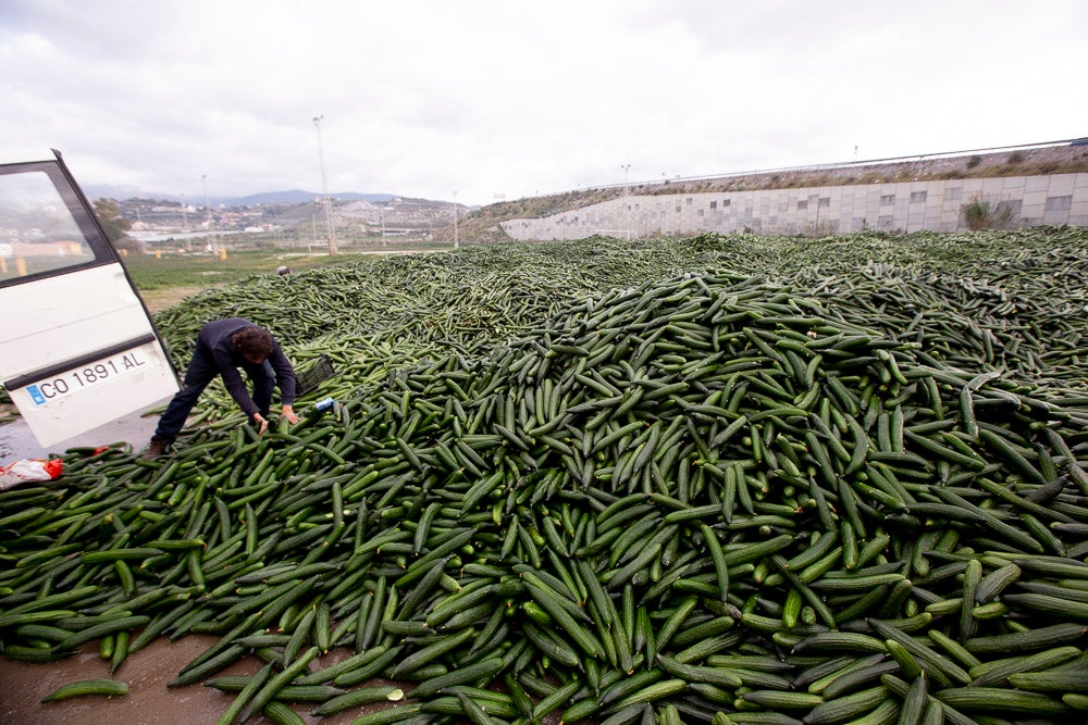 Ahora empezarán a llevarse directamente a la planta de residuos