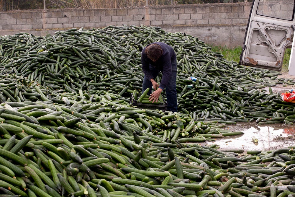 Ahora empezarán a llevarse directamente a la planta de residuos