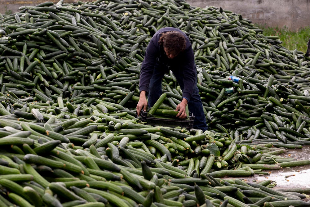 Ahora empezarán a llevarse directamente a la planta de residuos