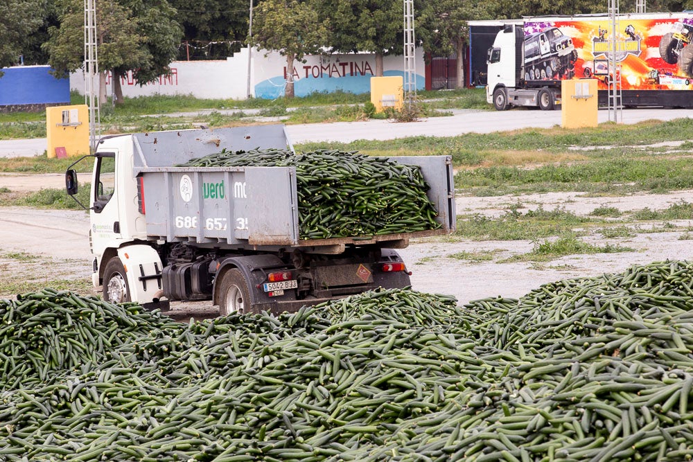 Ahora empezarán a llevarse directamente a la planta de residuos