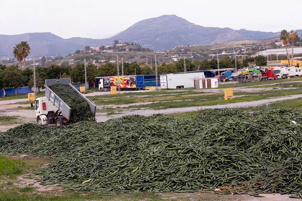 Ahora empezarán a llevarse directamente a la planta de residuos