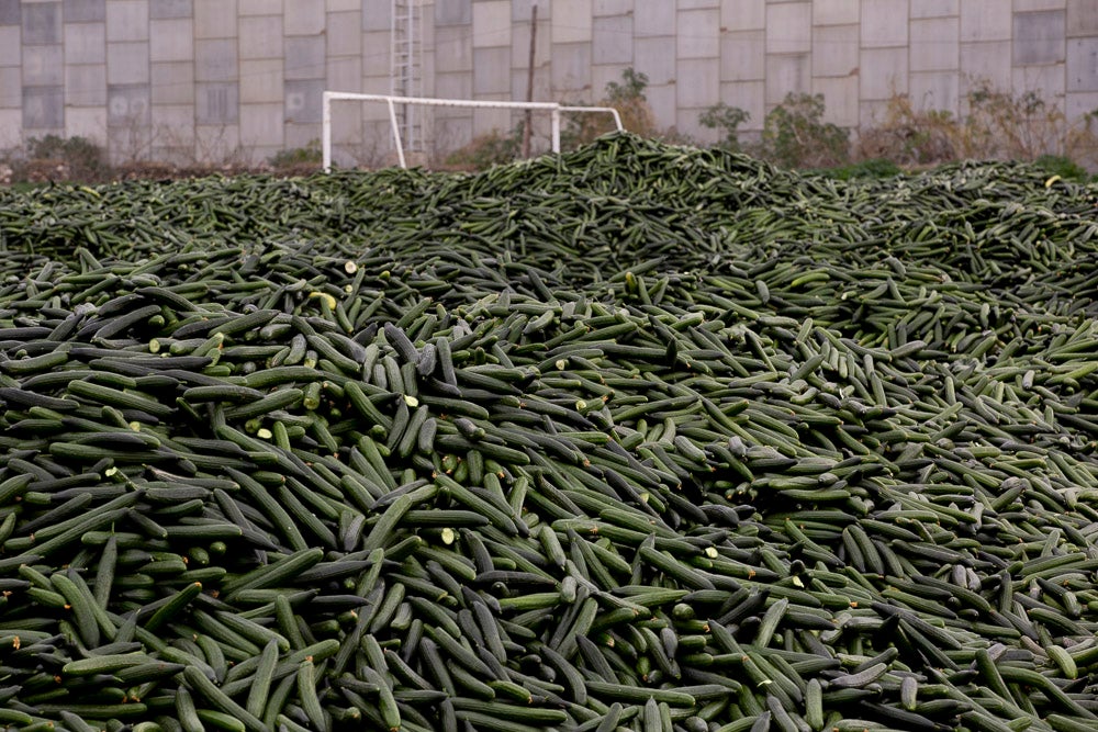 Ahora empezarán a llevarse directamente a la planta de residuos