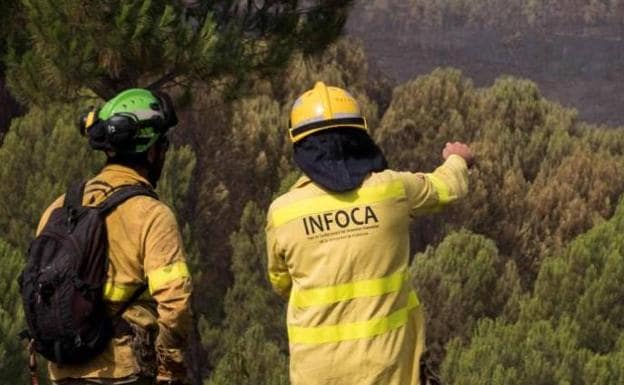 Oposiciones en Andalucía: 98 puestos para trabajar en Infoca