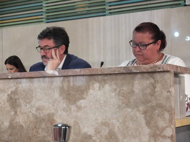 Rafael Esteban y Amalia Román, en el pleno del Ayuntamiento de Almería. :: s. g. h.