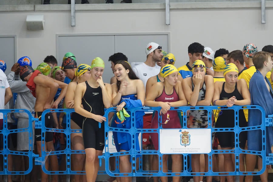 Casi 300 nadadores se dan cita en el II Trofeo Internacional Granada Ciudad Universitaria se celebra este fin de semana