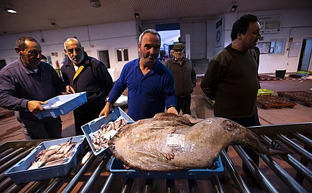 Cada tarde la lonja de Motril es un atractivo espectáculo donde los pescadores exponen y venden sus capturas. 
