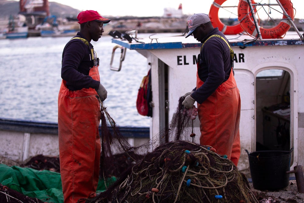 El pescado motrileño va a las pescaderías y a la hostelería, aunque los hosteleros no suelen ir a comprar directamente, sino que declinan esa tarea en los distribuidores