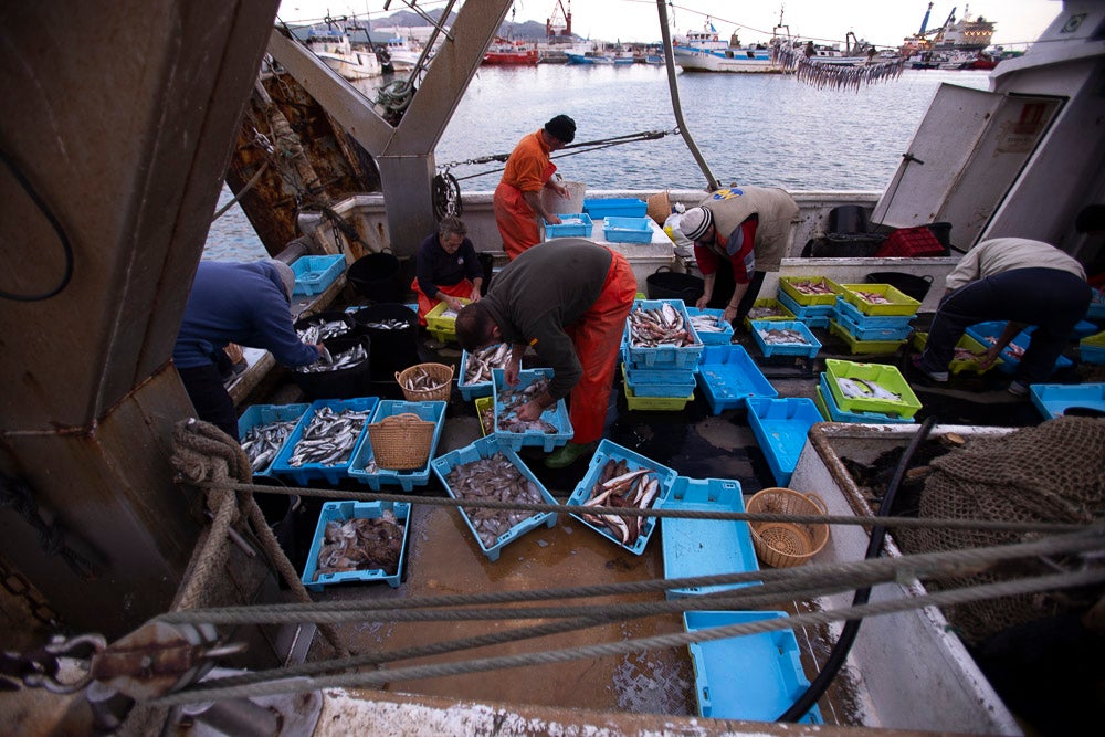 El pescado motrileño va a las pescaderías y a la hostelería, aunque los hosteleros no suelen ir a comprar directamente, sino que declinan esa tarea en los distribuidores