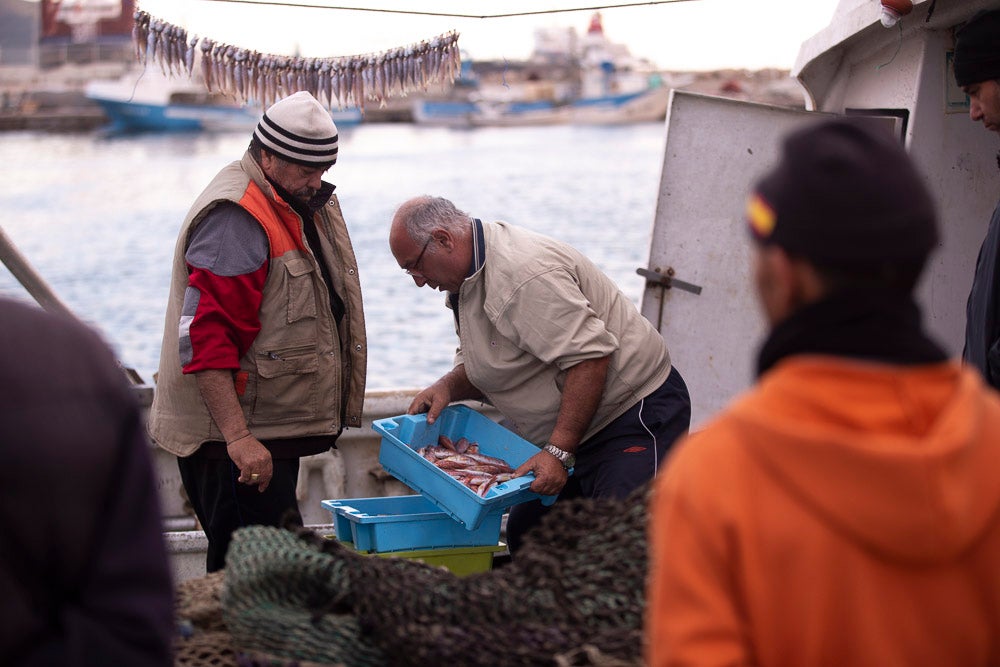 El pescado motrileño va a las pescaderías y a la hostelería, aunque los hosteleros no suelen ir a comprar directamente, sino que declinan esa tarea en los distribuidores