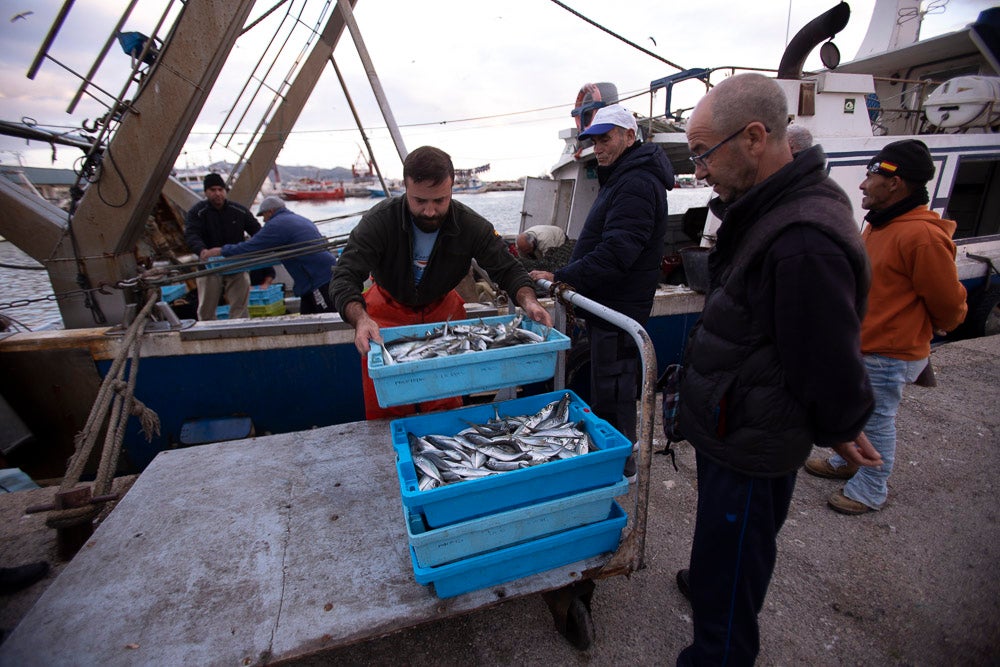 El pescado motrileño va a las pescaderías y a la hostelería, aunque los hosteleros no suelen ir a comprar directamente, sino que declinan esa tarea en los distribuidores