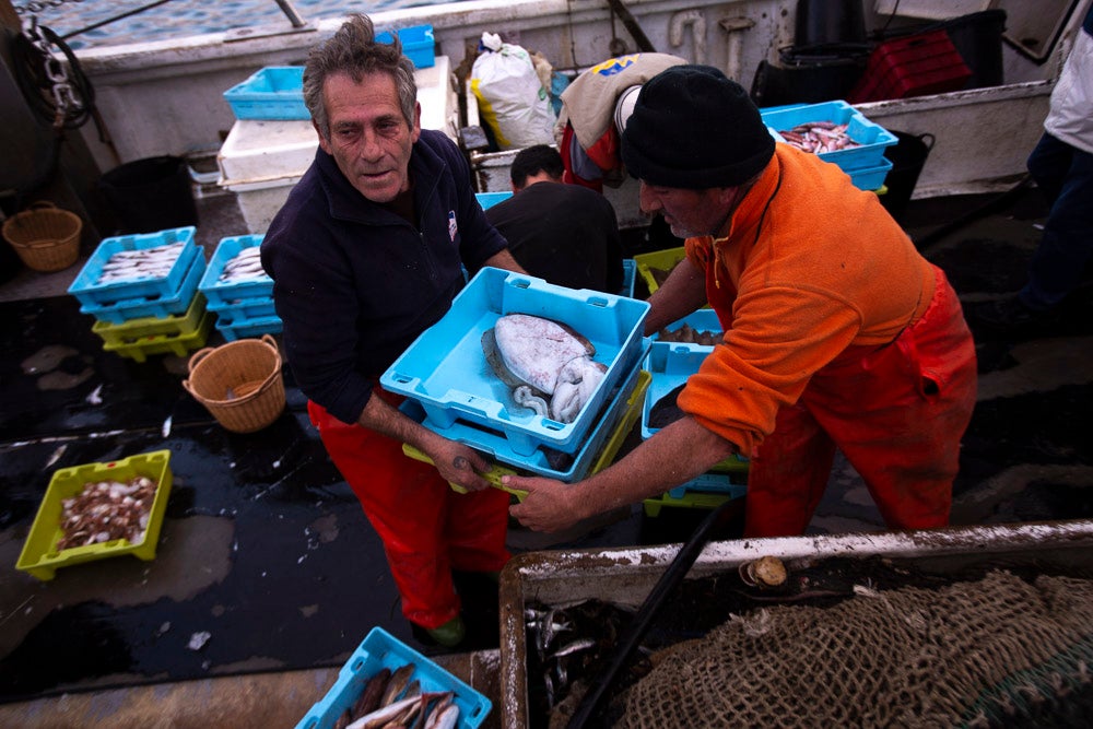 El pescado motrileño va a las pescaderías y a la hostelería, aunque los hosteleros no suelen ir a comprar directamente, sino que declinan esa tarea en los distribuidores
