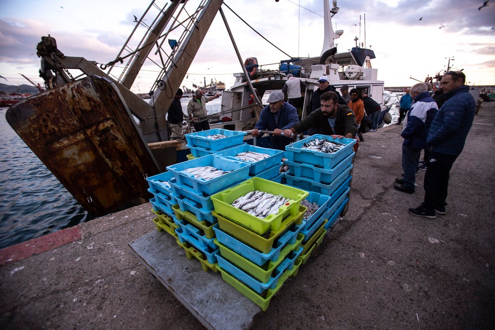El pescado motrileño va a las pescaderías y a la hostelería, aunque los hosteleros no suelen ir a comprar directamente, sino que declinan esa tarea en los distribuidores