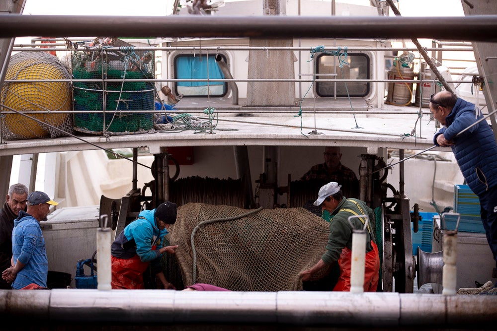 El pescado motrileño va a las pescaderías y a la hostelería, aunque los hosteleros no suelen ir a comprar directamente, sino que declinan esa tarea en los distribuidores