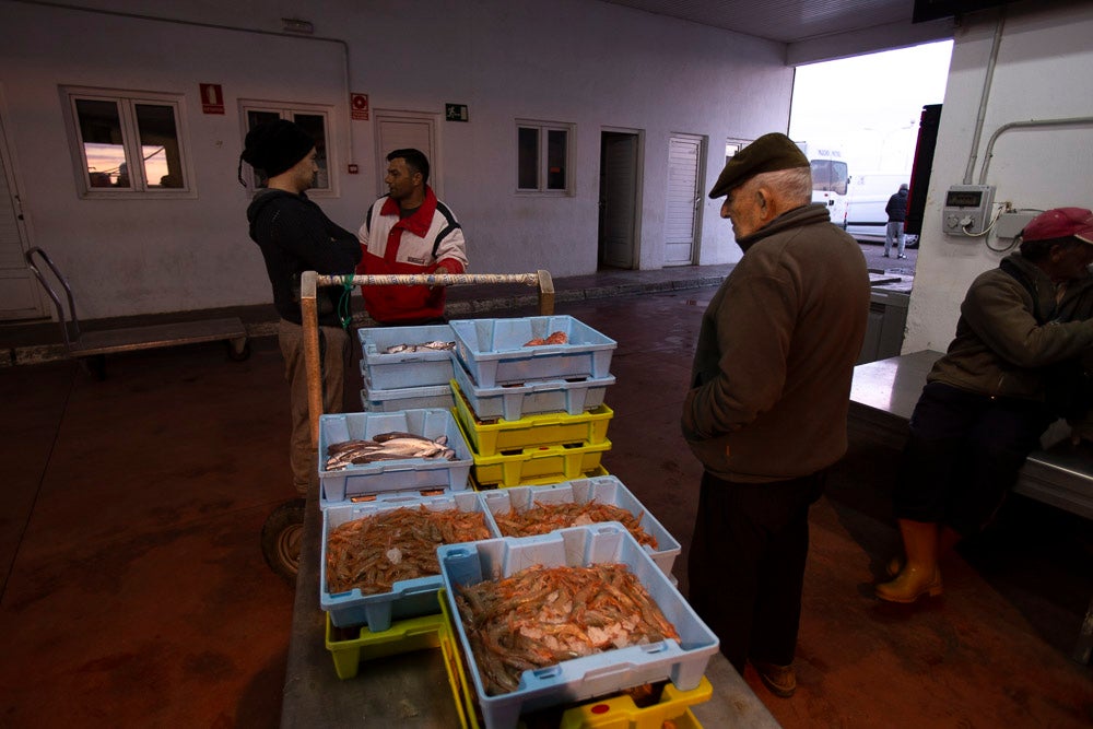 El pescado motrileño va a las pescaderías y a la hostelería, aunque los hosteleros no suelen ir a comprar directamente, sino que declinan esa tarea en los distribuidores