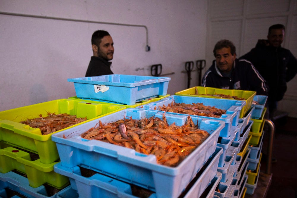 El pescado motrileño va a las pescaderías y a la hostelería, aunque los hosteleros no suelen ir a comprar directamente, sino que declinan esa tarea en los distribuidores