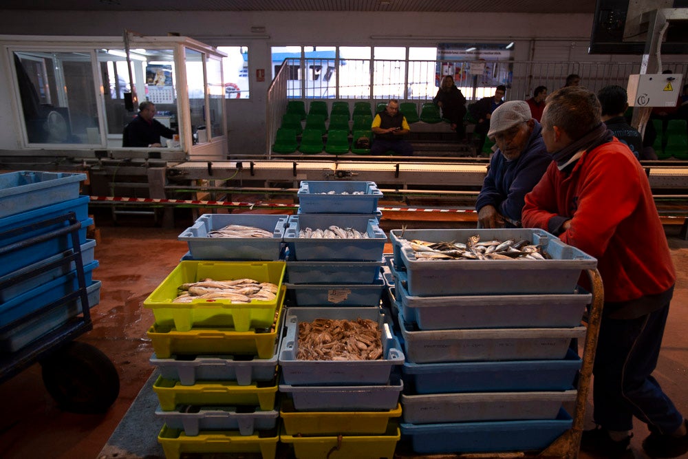 El pescado motrileño va a las pescaderías y a la hostelería, aunque los hosteleros no suelen ir a comprar directamente, sino que declinan esa tarea en los distribuidores