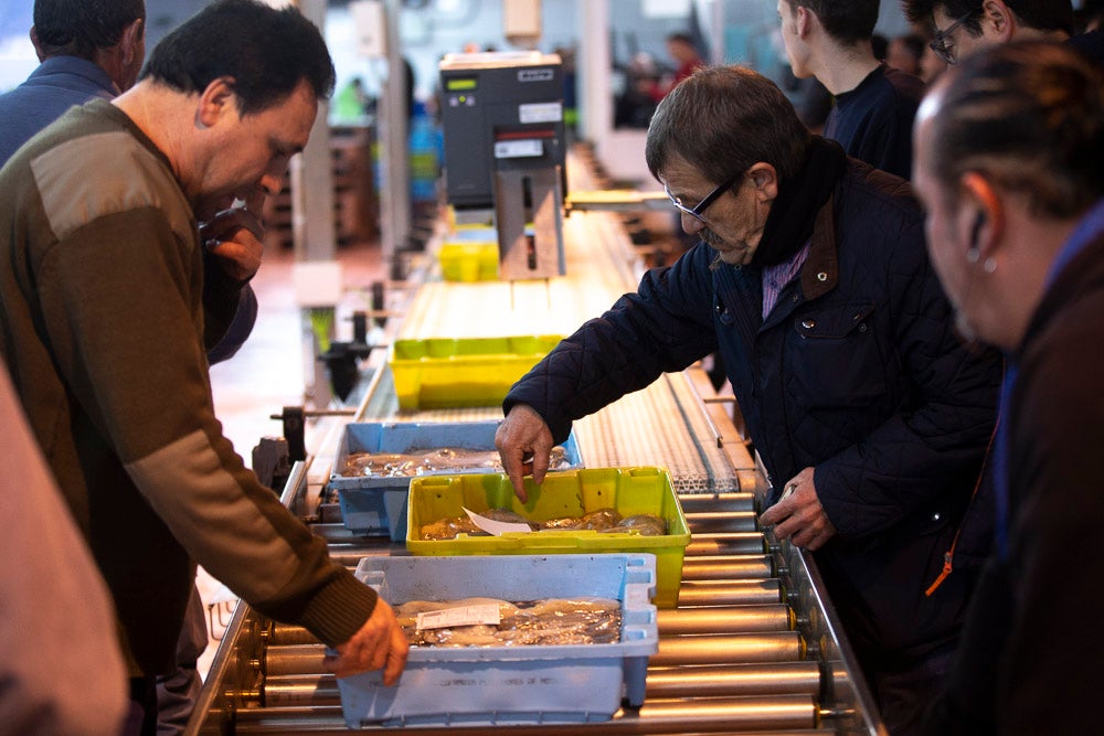 El pescado motrileño va a las pescaderías y a la hostelería, aunque los hosteleros no suelen ir a comprar directamente, sino que declinan esa tarea en los distribuidores