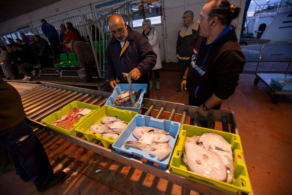 El pescado motrileño va a las pescaderías y a la hostelería, aunque los hosteleros no suelen ir a comprar directamente, sino que declinan esa tarea en los distribuidores