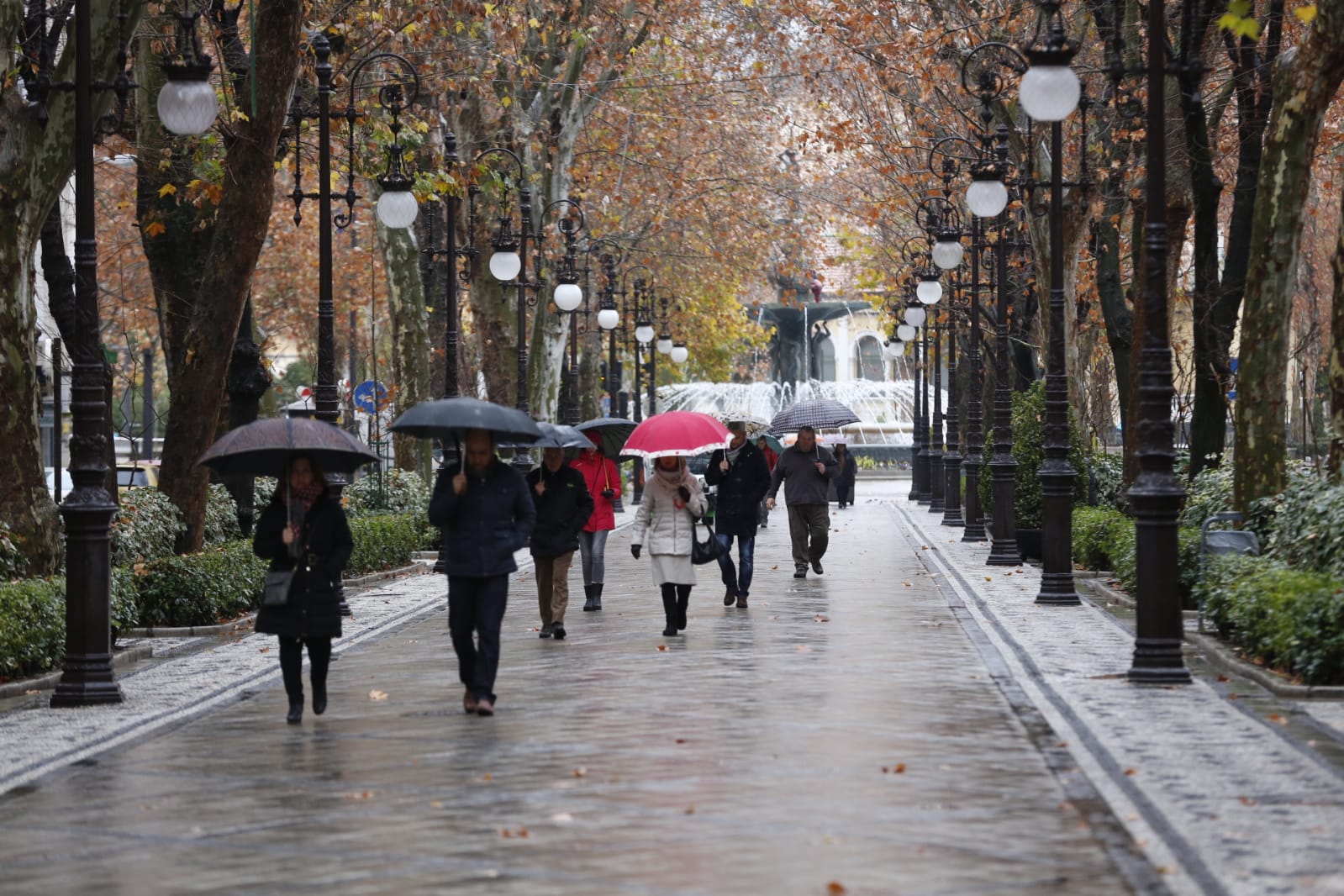 Regresan los paraguas a las calles de la capital en una imagen que no se vía desde el pasado 13 de diciembre