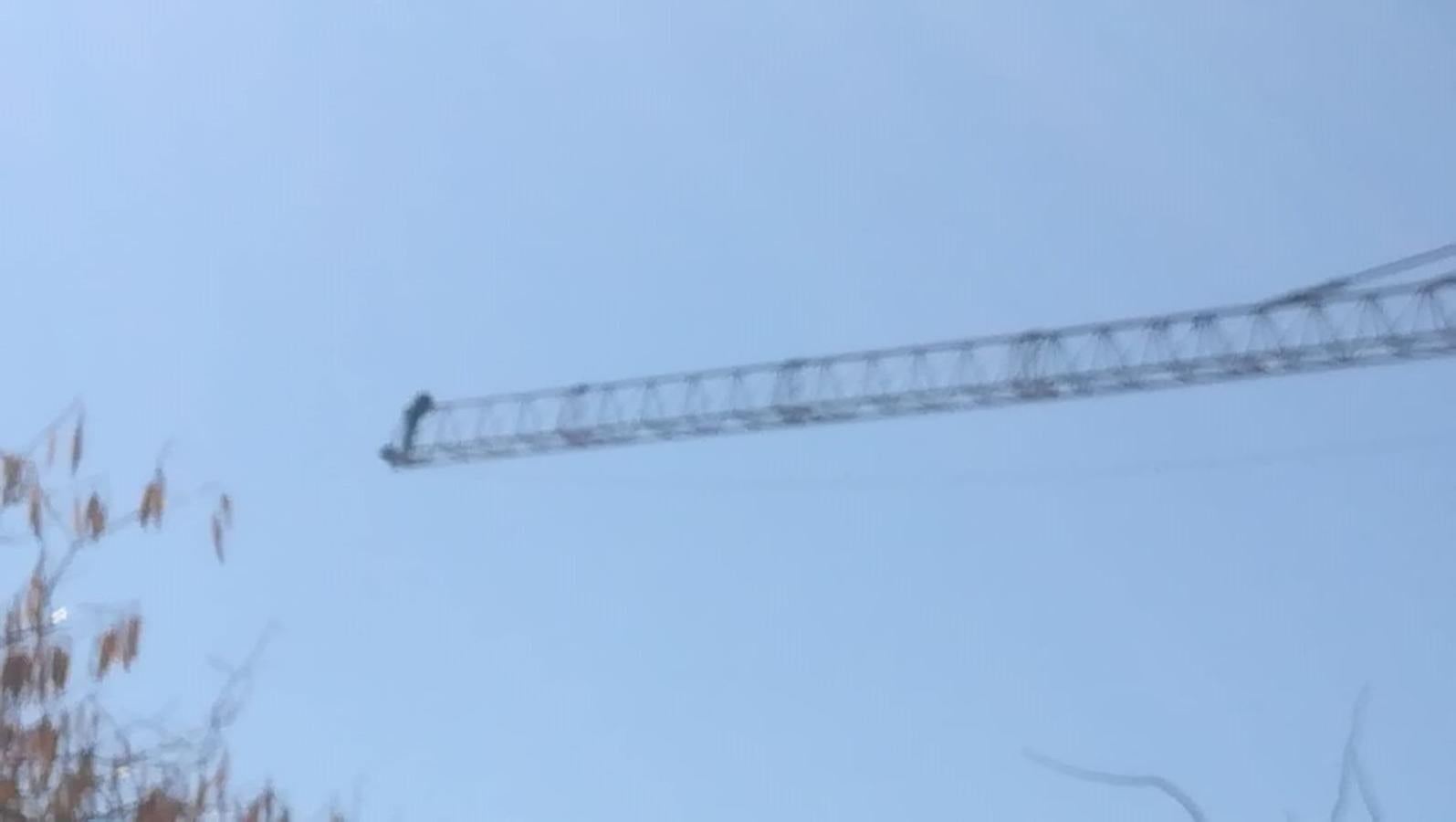 Los bomberos de Granada están en estos momentos intentando disuadir a un hombre que amenaza con tirarse desde una grúa situada en el Cuarto Real de Santo Domingo, en pleno centro de la capital. Al parecer, y según ha podido saber IDEAL, está persona ya protagonizó un episodio similar en Murcia.